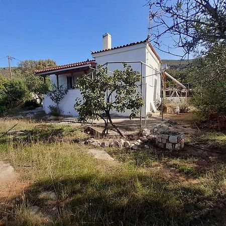 Elafonisos Detached House In Quiet Olive Grove, Starlink Internet & Smart Projector! Villa Eksteriør billede