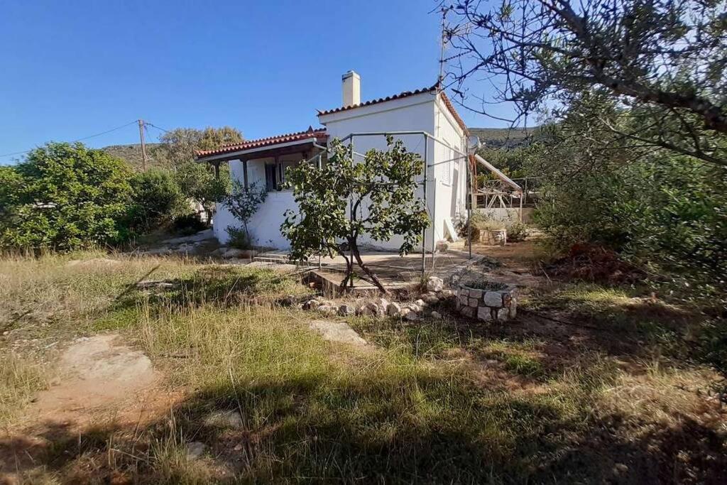 Elafonisos Detached House In Quiet Olive Grove, Starlink Internet & Smart Projector! Villa Eksteriør billede