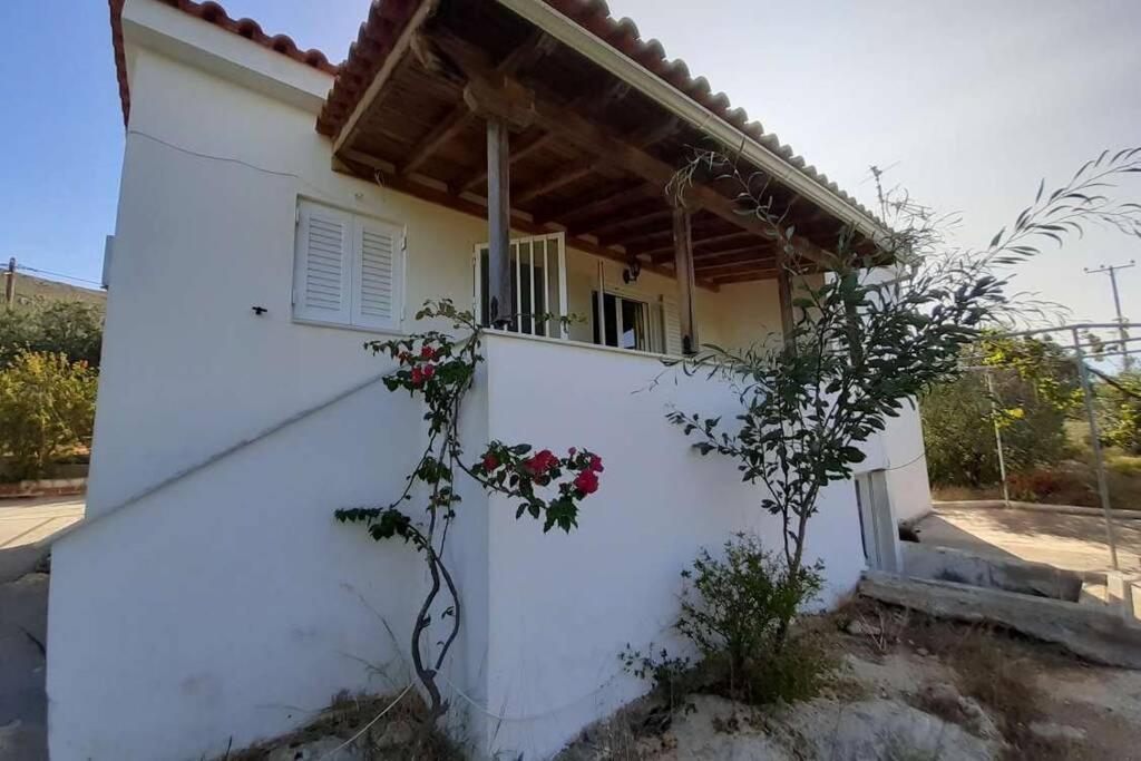 Elafonisos Detached House In Quiet Olive Grove, Starlink Internet & Smart Projector! Villa Eksteriør billede